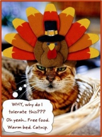 The Best Kind Of Turkey!