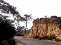 Torrey Pines Reserve - Sandstone Cliffs in the Evening