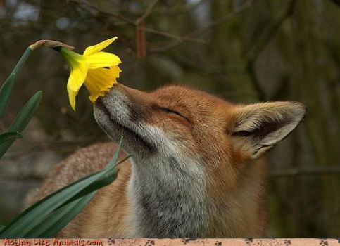 Time to stop and smell the flowers.
