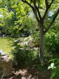 Agua Caliente Park, Tucson, Arizona