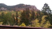 Autumn is here!!!   :-)