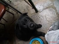 Pequeño