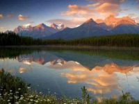 reflection