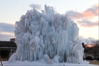 Ice Tree