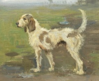 William Walls (Scottish, 1860–1942), A Welsh Foxhound
