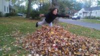 leaves!!