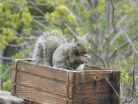 neighborhood friend