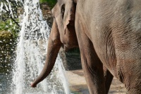 250612-03 artis
