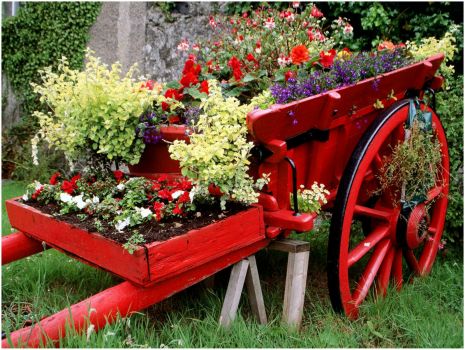 Red cart of flowers 