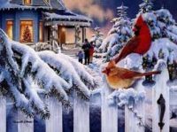 Christmas Time