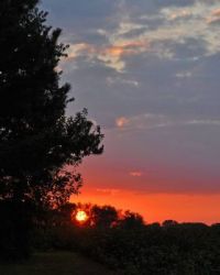 Alabama sunset : )