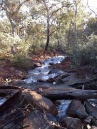 Lesmurdie Brook below Lesmurdie Falls (larger)