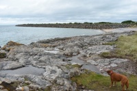 Haverigg bay, our stop off point for nosh.