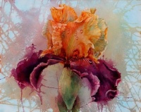 Soon Young Warren, 'Majesty Iris'