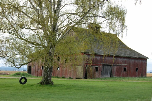 old-barn-1-1230848