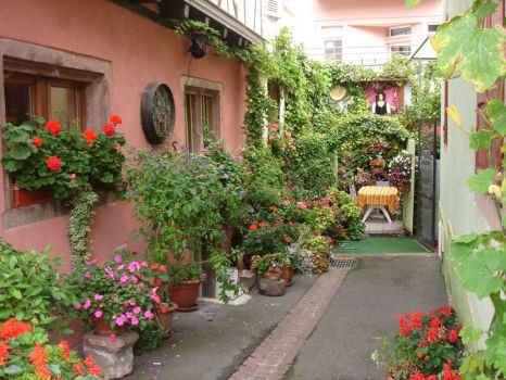 An alley in Alsace