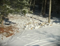 Sweet message left in driveway by grandchild.