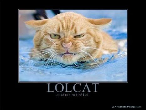 LOLcat