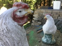 “I say, what you looking at?”