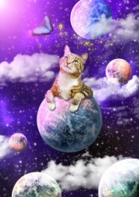tom-maierle-cat-in-space