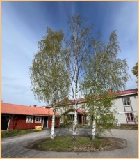 Zweden reis 2025