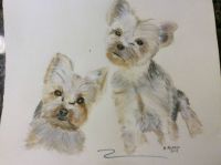 Winston and Scarlett