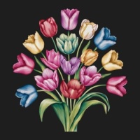 Lovely Tulips