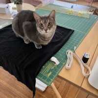 Sewing Apprentice