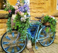 Botanical Bicycles (#1)