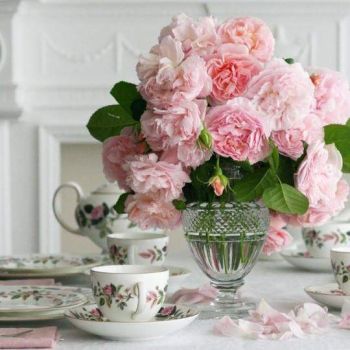 Pink Rose Tea