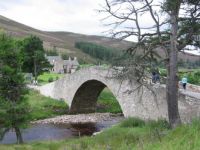 378 We Walked the Bridge