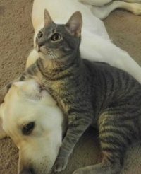Excuse me, this is private!