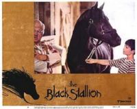THEME: Movies - The Black Stallion based on the book by Walter Farley