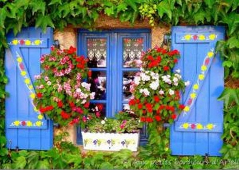 Windows and flowers2