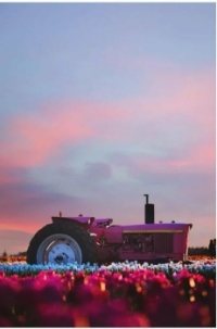 Did someone repaint the tractor?