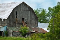 Old barn and bale elevator 0070