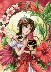 Hibiscus Fairy