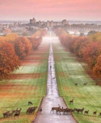 Misty view of Windsor castle