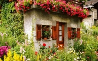 Home Decoration With Flowers
