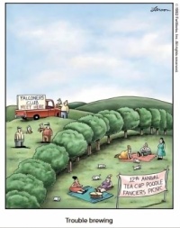 Who will have picnick?  :-)