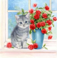 Kitten and roses