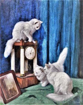 Drei neugierige Katzen/Three Curious Cats