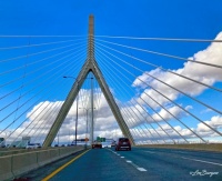Zakim Bridge, Boston _9165