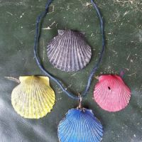 painted shells