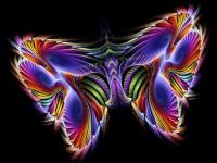 fractual butterfly