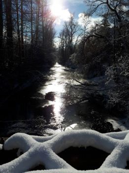 Winter sunshine on Boundary Creek