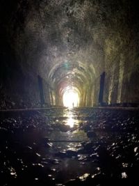 Abandoned train tunnel, Tasmania