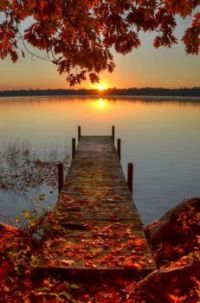Boat dock at sunset