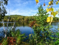 Brainerd MN - Mining Pit Lake - Autumn Color