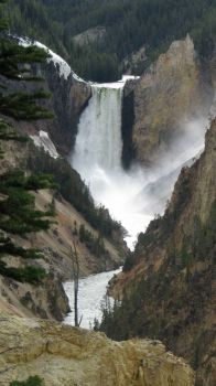 Canyon Falls of Yellowstone